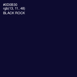 #0D0B30 - Black Rock Color Image